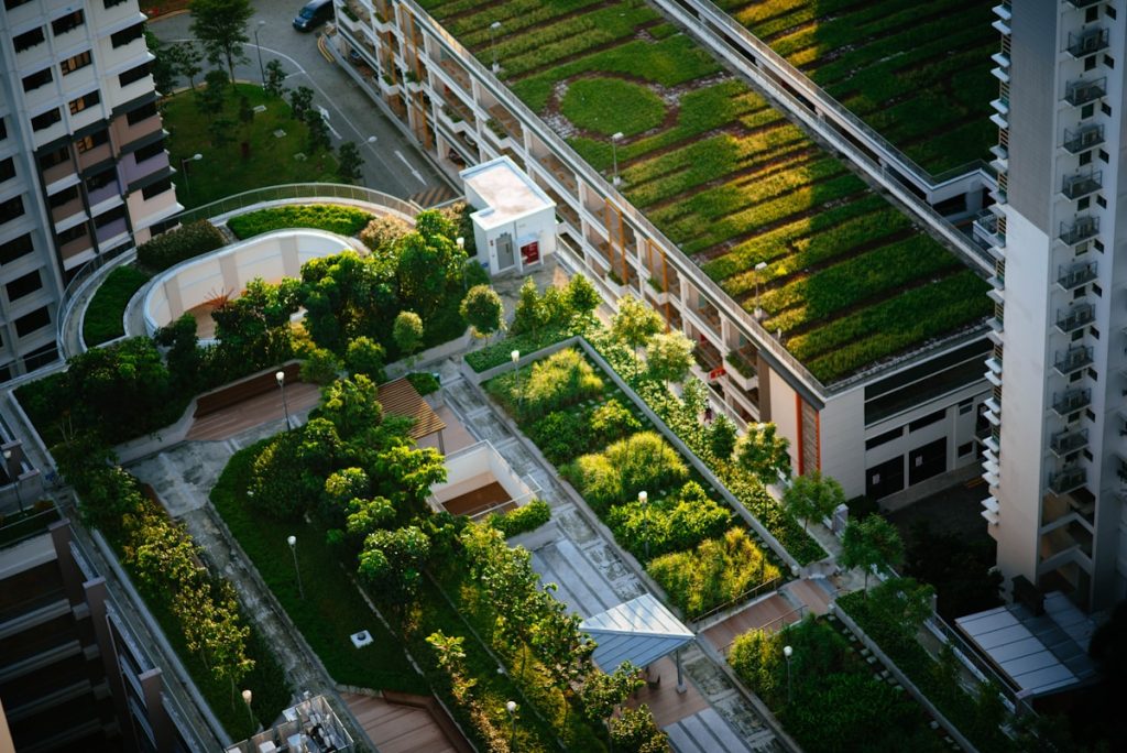 Inspirerend voorbeeld: groendaken op het Amsterdams Lyceum