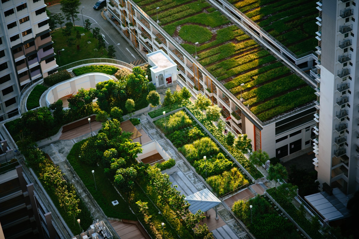 Inspirerend voorbeeld: groendaken op het Amsterdams Lyceum